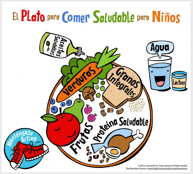 Plato Comer Saludable para Niños