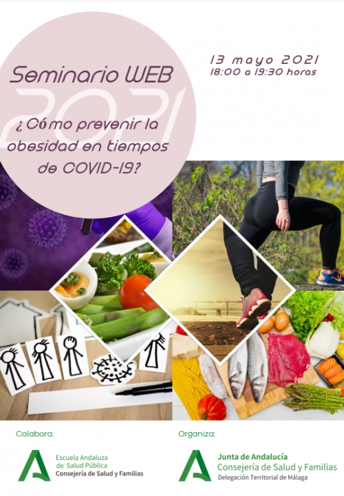 Portada Seminario Web Obesidad COVID19