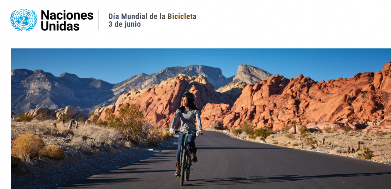 Imagen Dia Mundial de la Bicicleta 2024