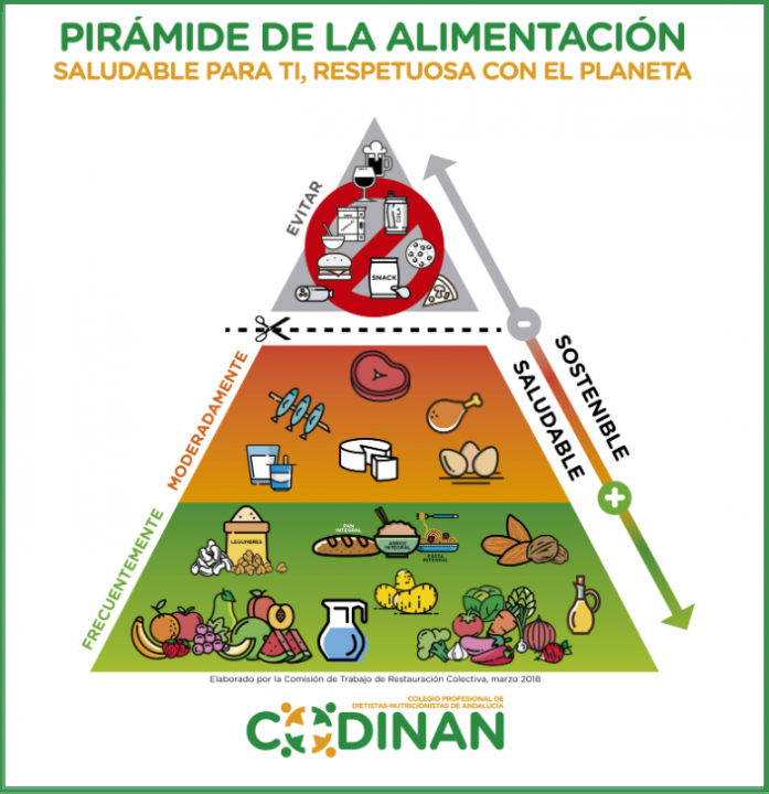 Imagen Piramide Alimentación Codinan