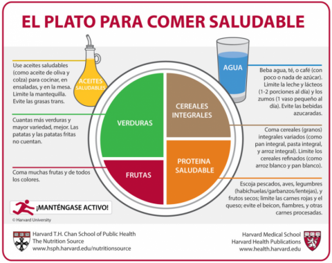 Plato para comer saludable