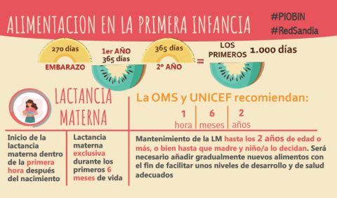 Imagen Infografía Alimentación en la primera infancia
