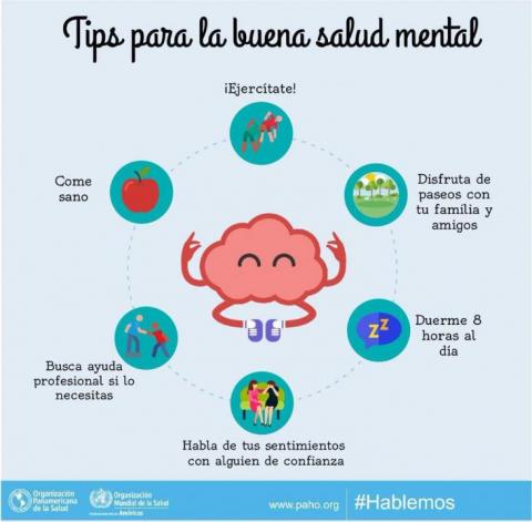 Imagen de la infografia
