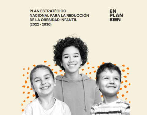 Plan Estratégico nacional