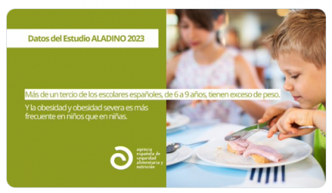 Imagen Estudio Aladino 2023